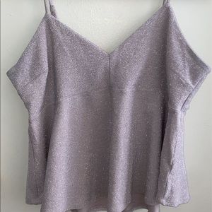 Sparkly Target brand peplum blouse. Wild Fabel